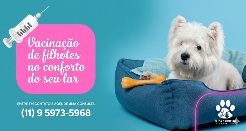 Vacinação de filhotes em domicílio em Diadema